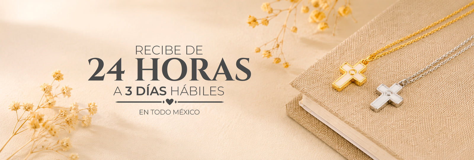 Descubrir la colección