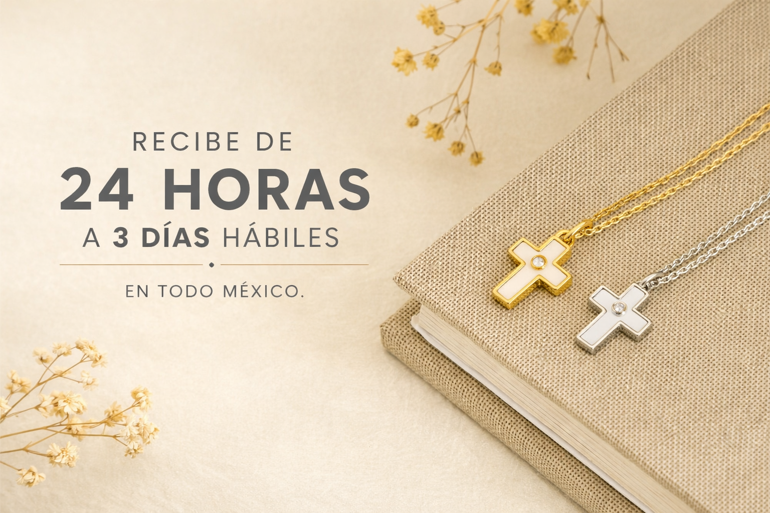 Descubrir la colección