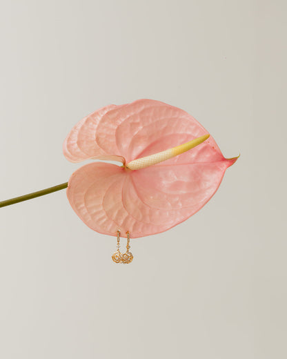 Aretes Rosas con Circonias