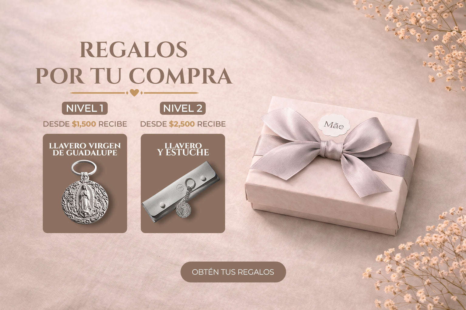 Descubrir la colección